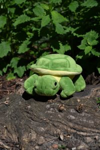 Maskottchen Schildkröte Susi St. Anna Kinderkrebsforschung