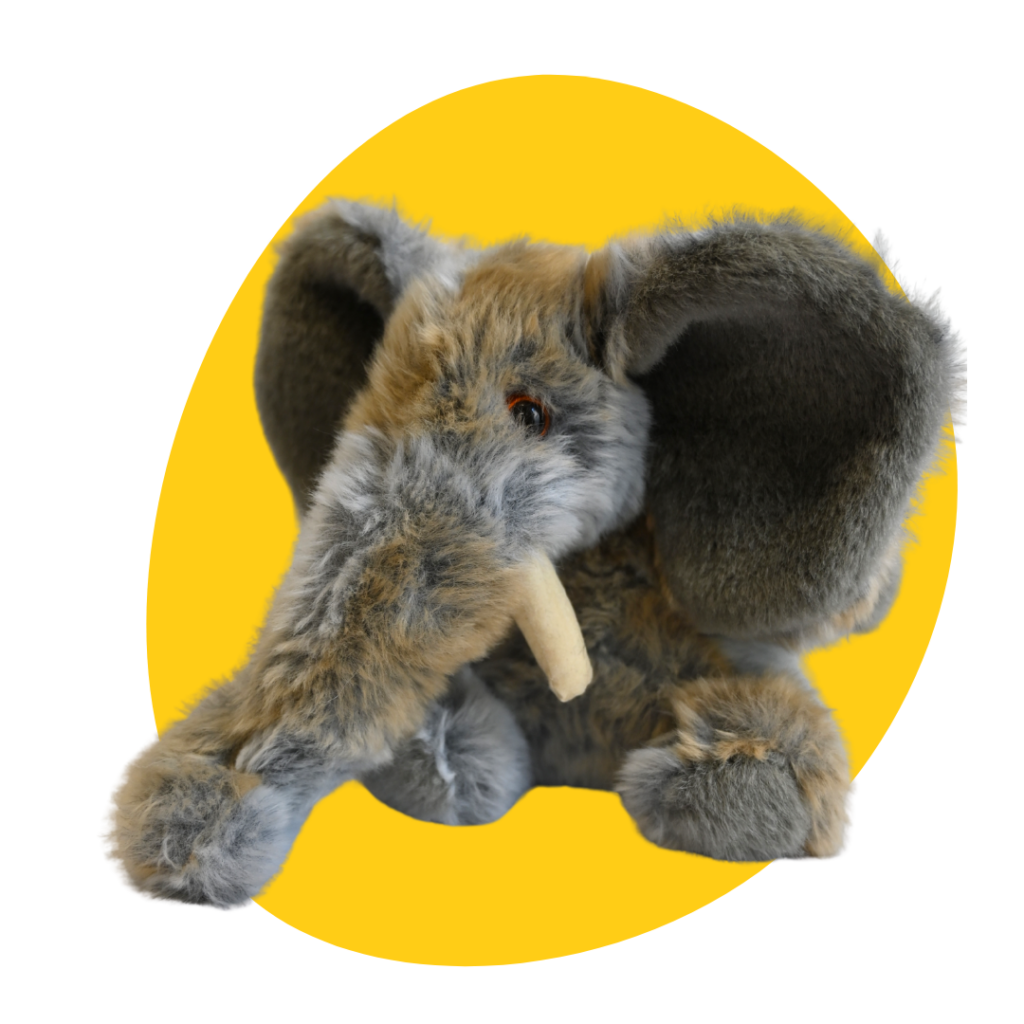 2000 - Maskottchen Pauli